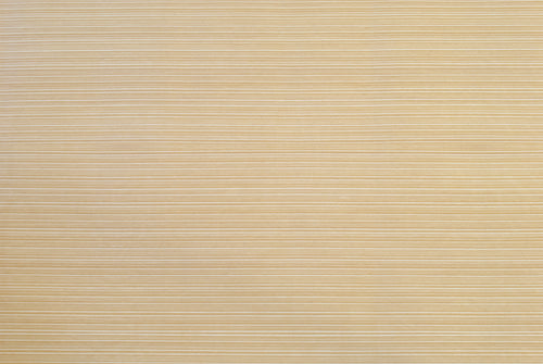 Papel Contact Autoadherible Maderas EH 5021